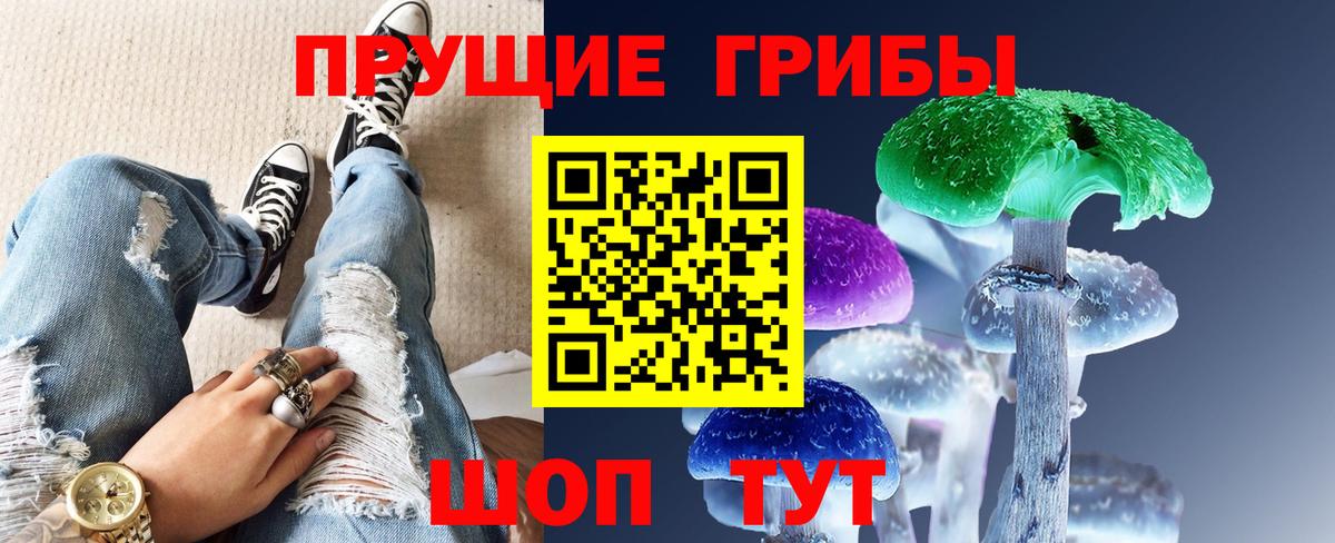 Псилоцибиновые грибы GOLDEN TEACHER Ачинск