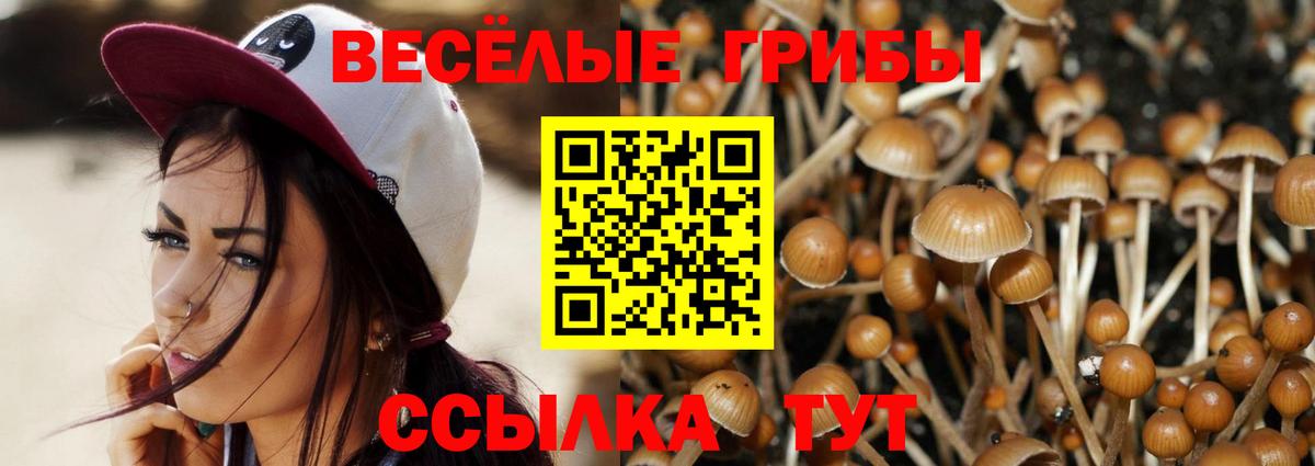 Галлюциногенные грибы прущие грибы  Вход с VPN  Ачинск 